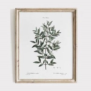 BOTANTICAL LEAVES PRINT