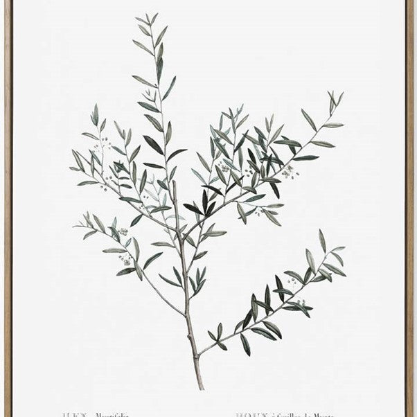 BOTANTICAL STEM PRINT