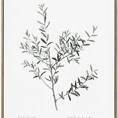 BOTANTICAL STEM PRINT