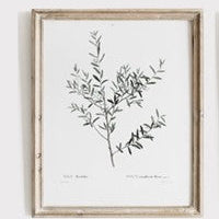 BOTANTICAL STEM PRINT