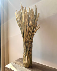 DRIED WHEAT BUNCH