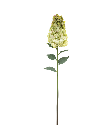 Vintage Green Faux Cone Hydrangea Stems – Bouquet of 12