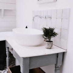 MINI ROSEMARY IN POT