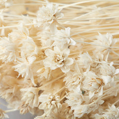 DRIED HILL FLOWER BUNCH