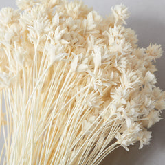 DRIED HILL FLOWER BUNCH