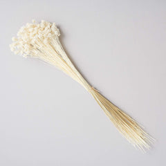 DRIED HILL FLOWER BUNCH