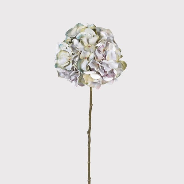 PALE HYDRANGEA STEM