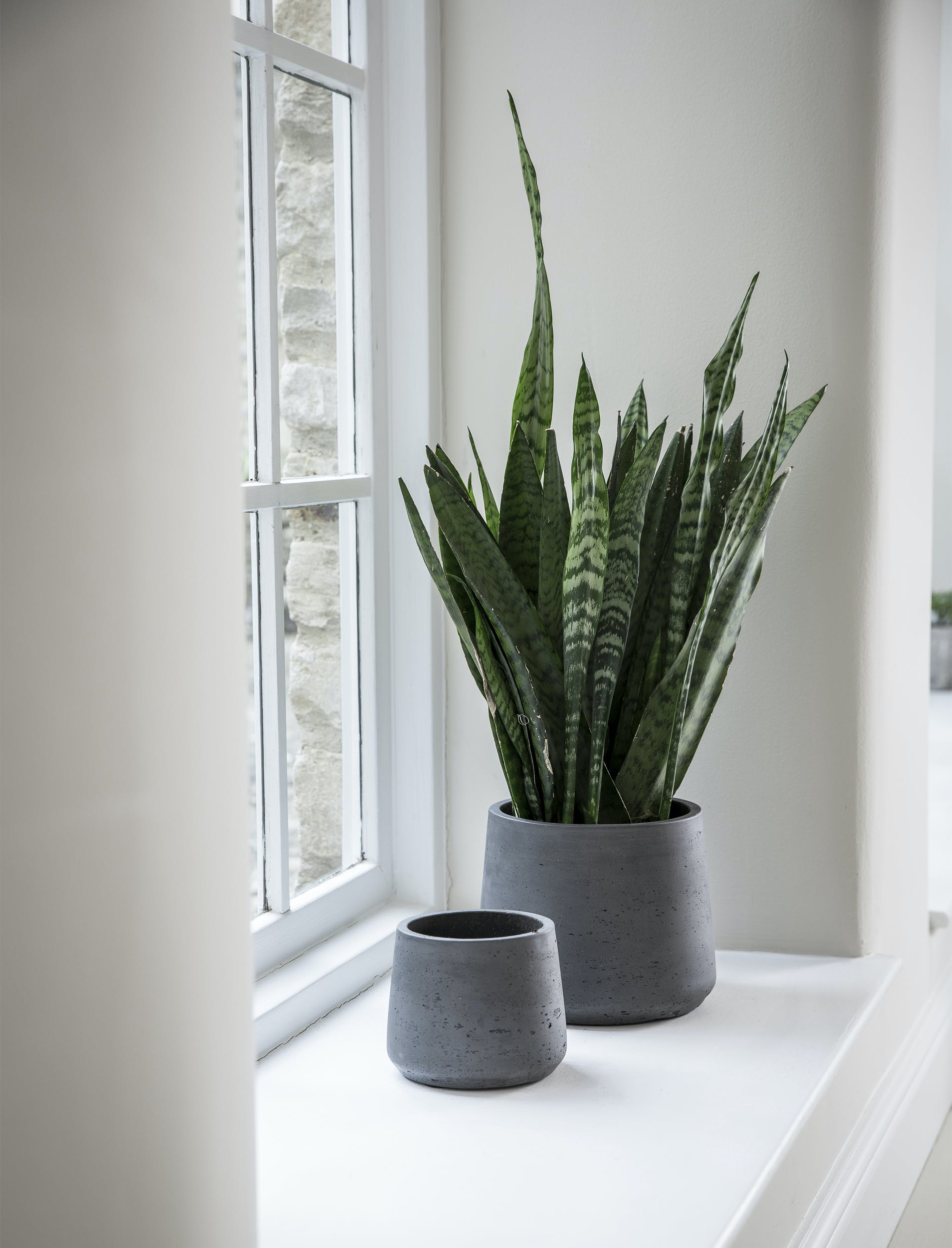 TAPERED PLANT POTS | SET OF 2