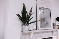 FAUX POTTED FERN