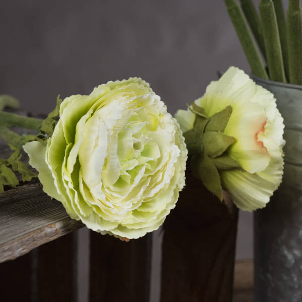 RANUNCULUS
