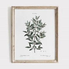 BOTANTICAL LEAVES PRINT