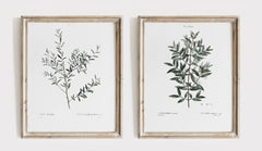 BOTANTICAL LEAVES PRINT