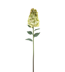 Vintage Green Faux Cone Hydrangea Stems – Bouquet of 12