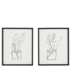 Botanical Sketch Framed Wall Art – Set of Two