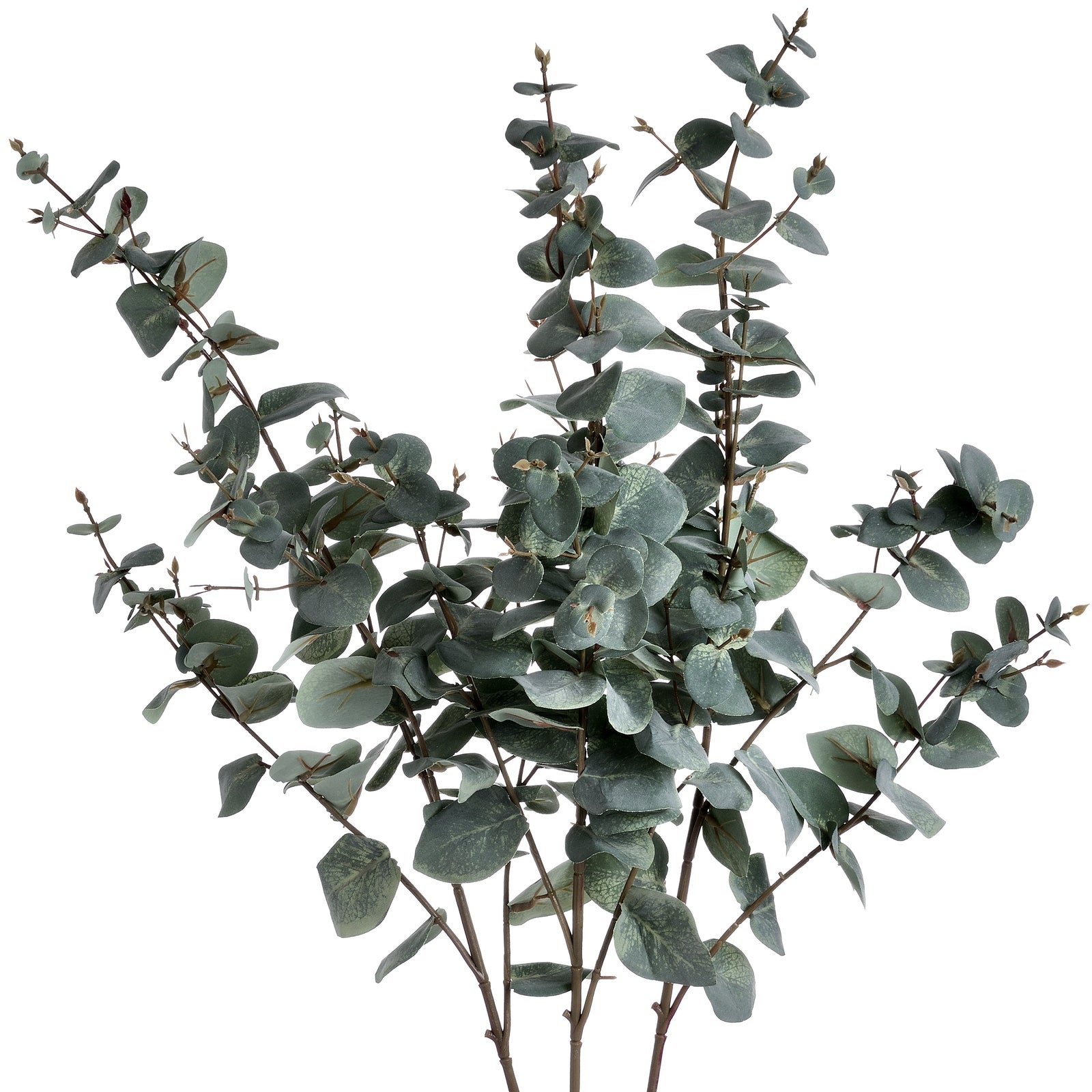 VARIEGATED EUCALYPTUS SPRAY