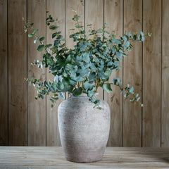 VARIEGATED EUCALYPTUS SPRAY