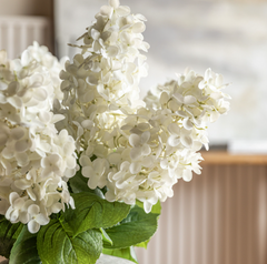 Vintage Ivory Faux Cone Hydrangea Stems – Bouquet of 12