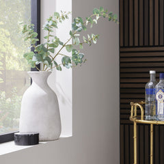 VARIEGATED EUCALYPTUS SPRAY