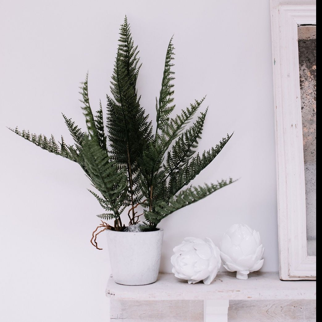 FAUX POTTED FERN